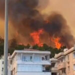 «Поставить режим на колени»: «Дети огня» взяли ответственность за лесные пожары в Турции